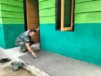 IMG-20260809-WA0279